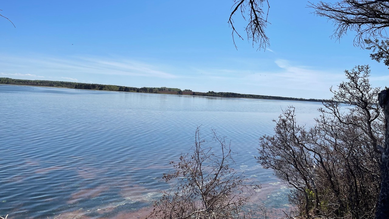 Photo of Others in Stanhope