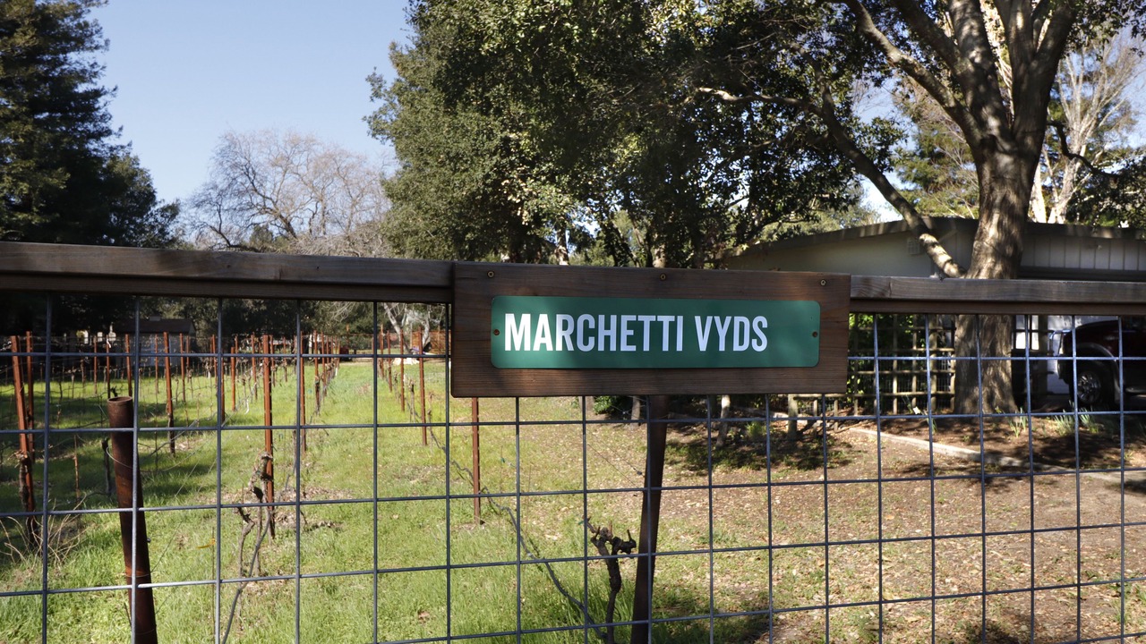 Photo of Outdoor in Yountville