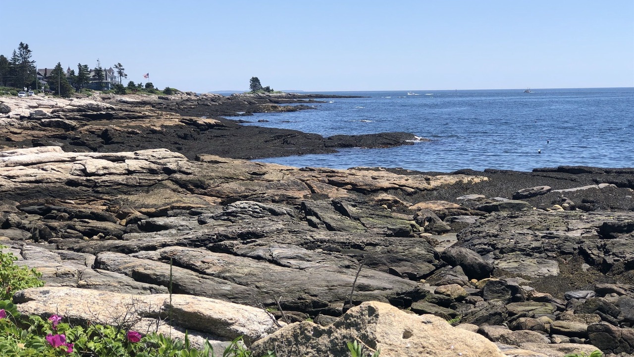 Photo of Others in Ocean Point