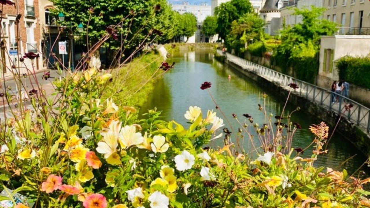 Photo of Others in Montargis