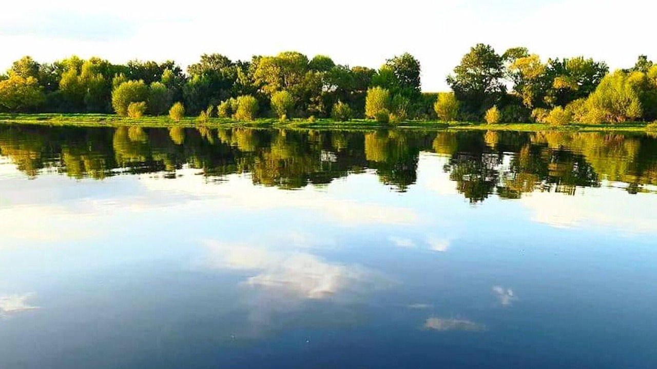 Photo of Others in Sazilly