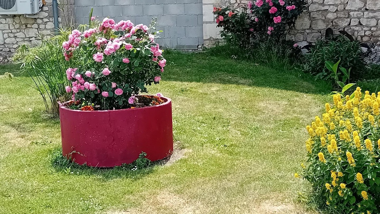 Photo of Outdoor in Sazilly