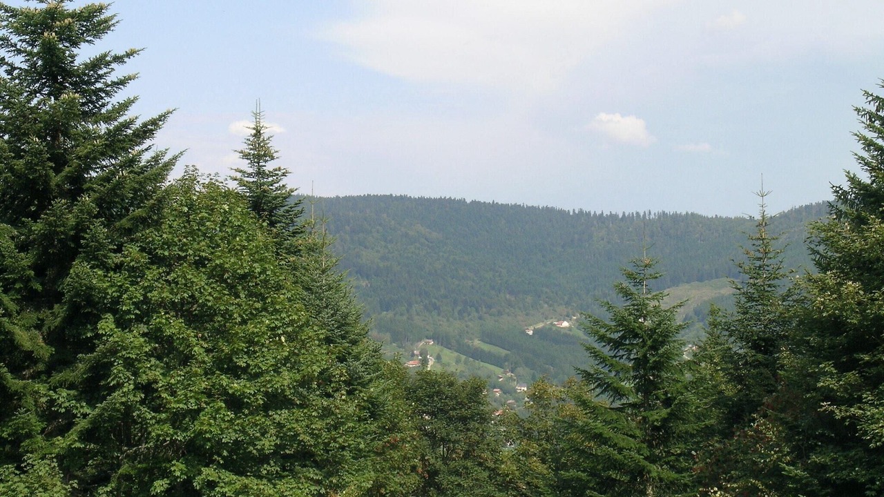 Photo of Others in Ventron
