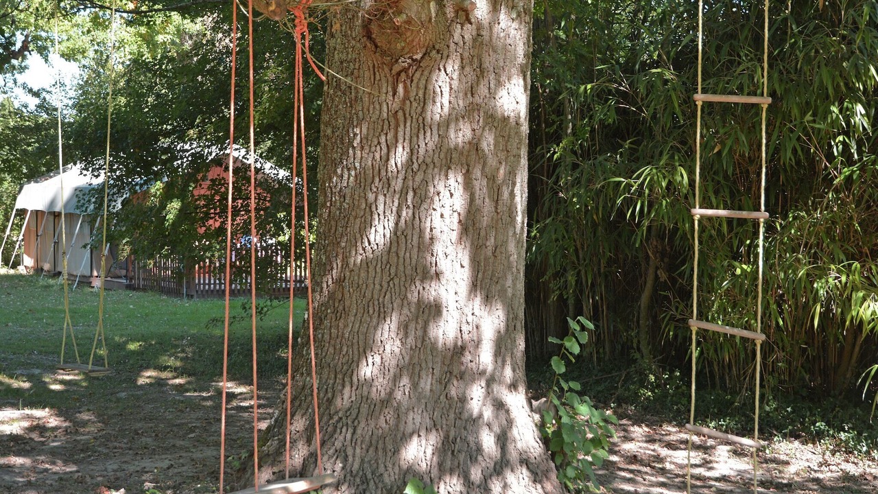 Photo of Others in Artigat