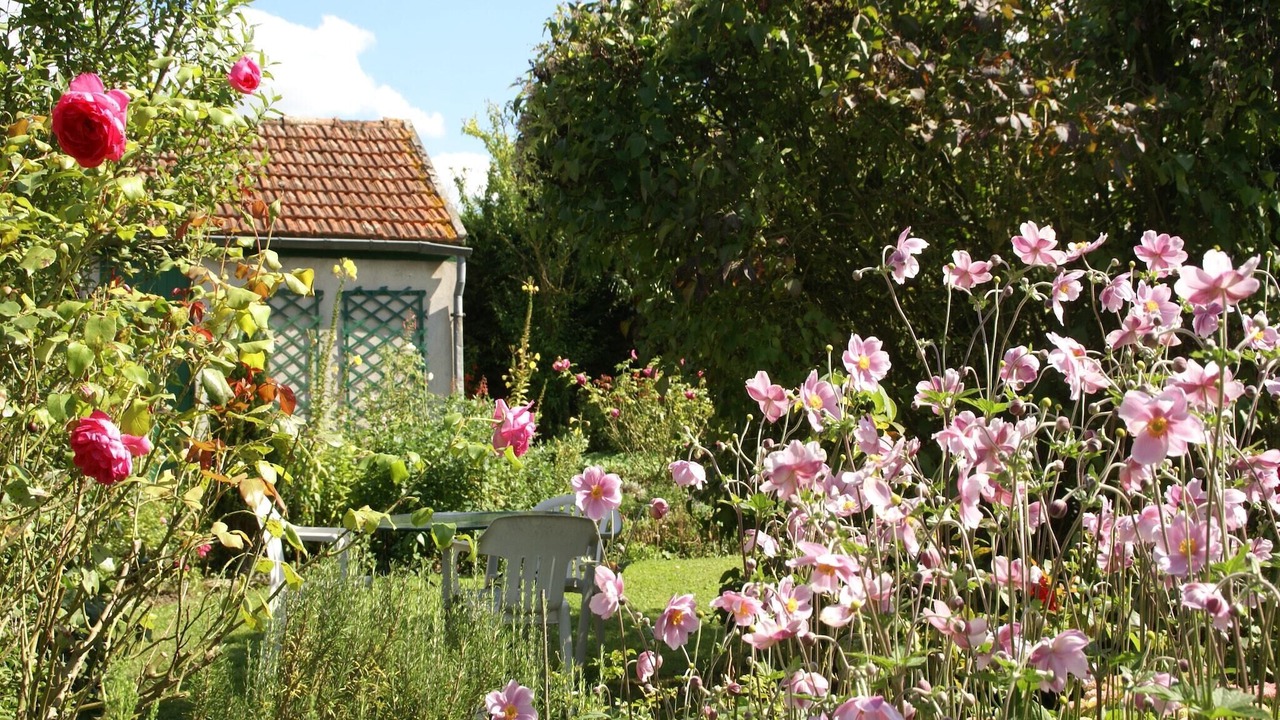 Photo of Outdoor in Mezy-Moulins