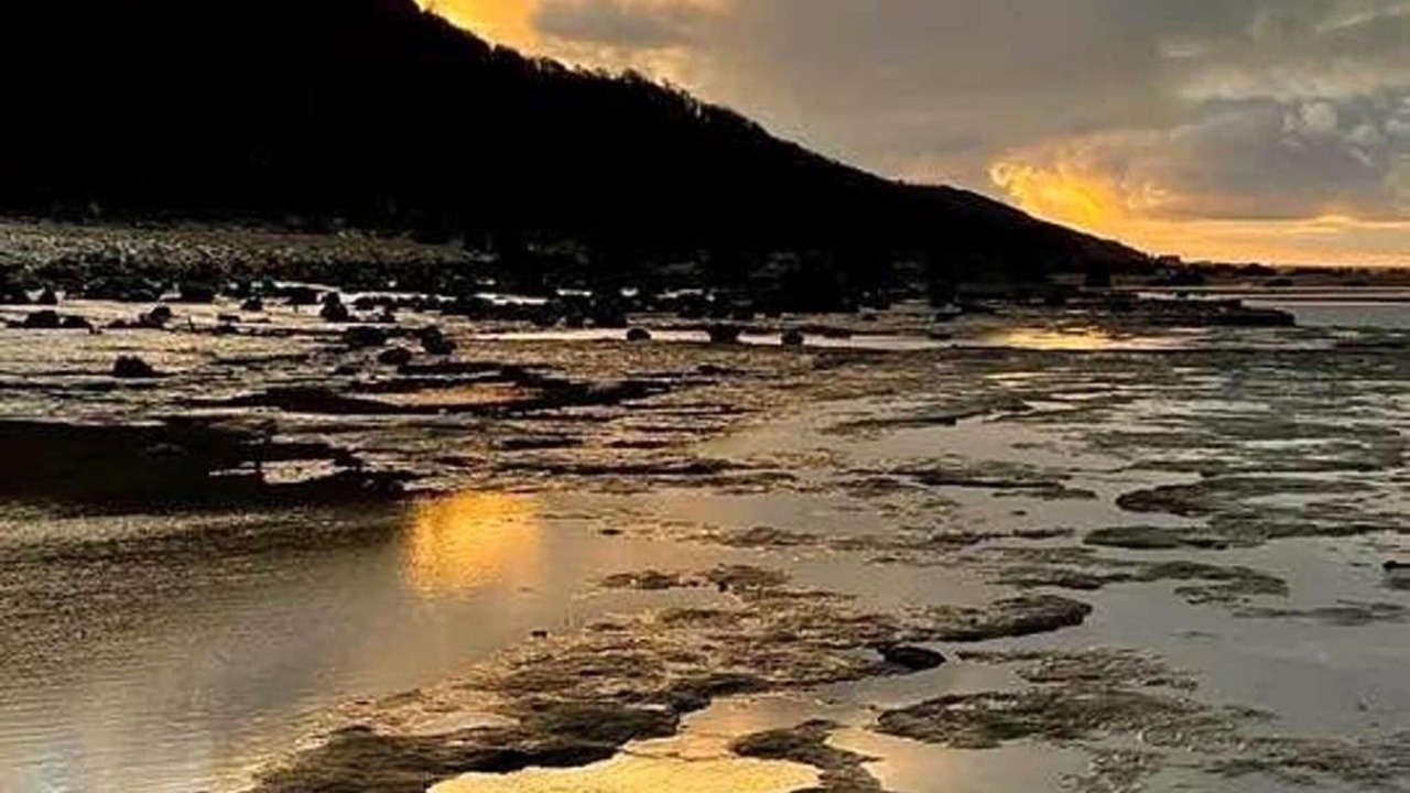 Photo of Others in Auberville