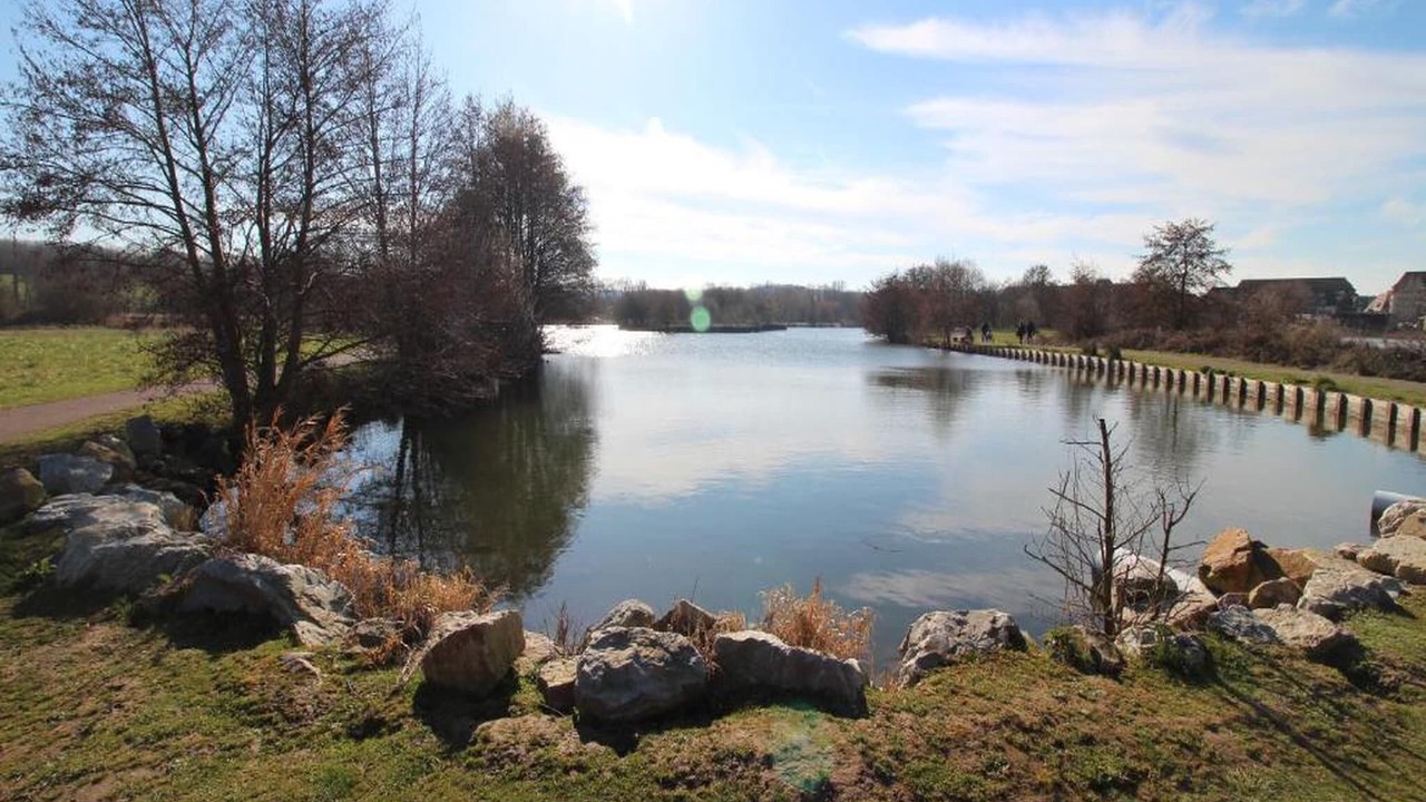 Photo of Others in Auberville