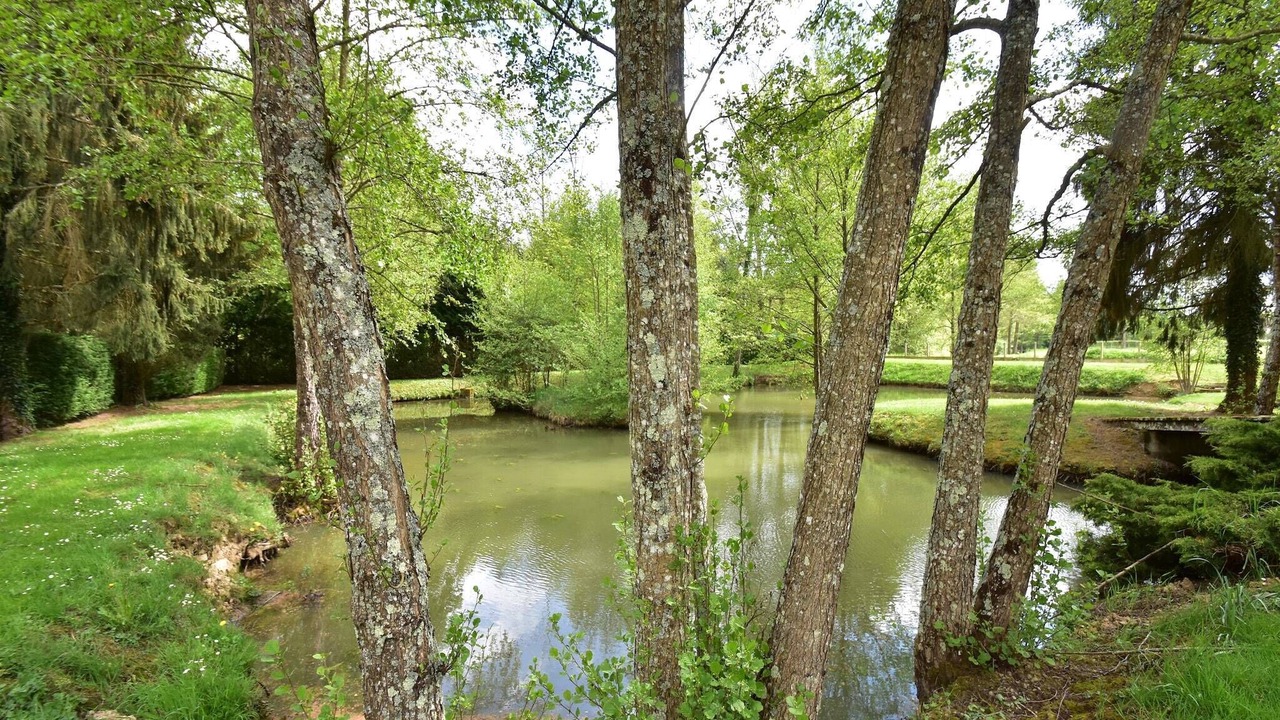 Photo of Outdoor in Faverolles