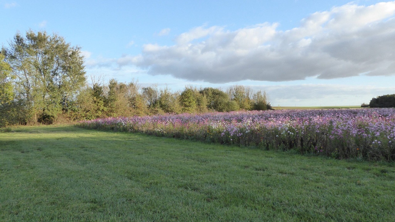 Photo of Outdoor in Giroux