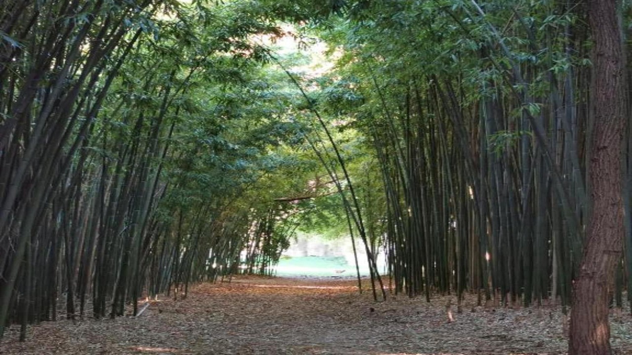 Photo of Others in Courry