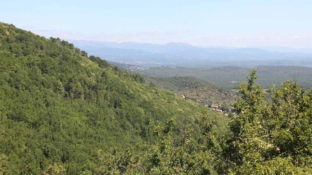 Photo of Others in Courry