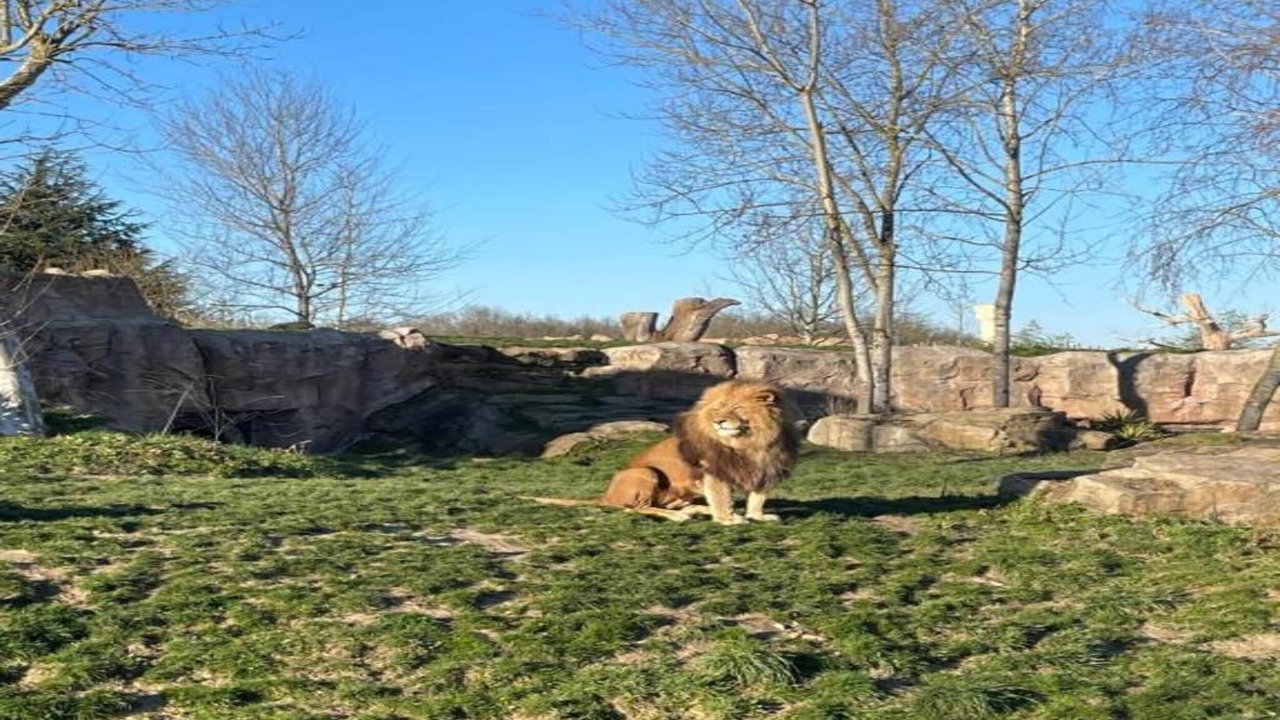 Photo of Others in Saint-Aignan