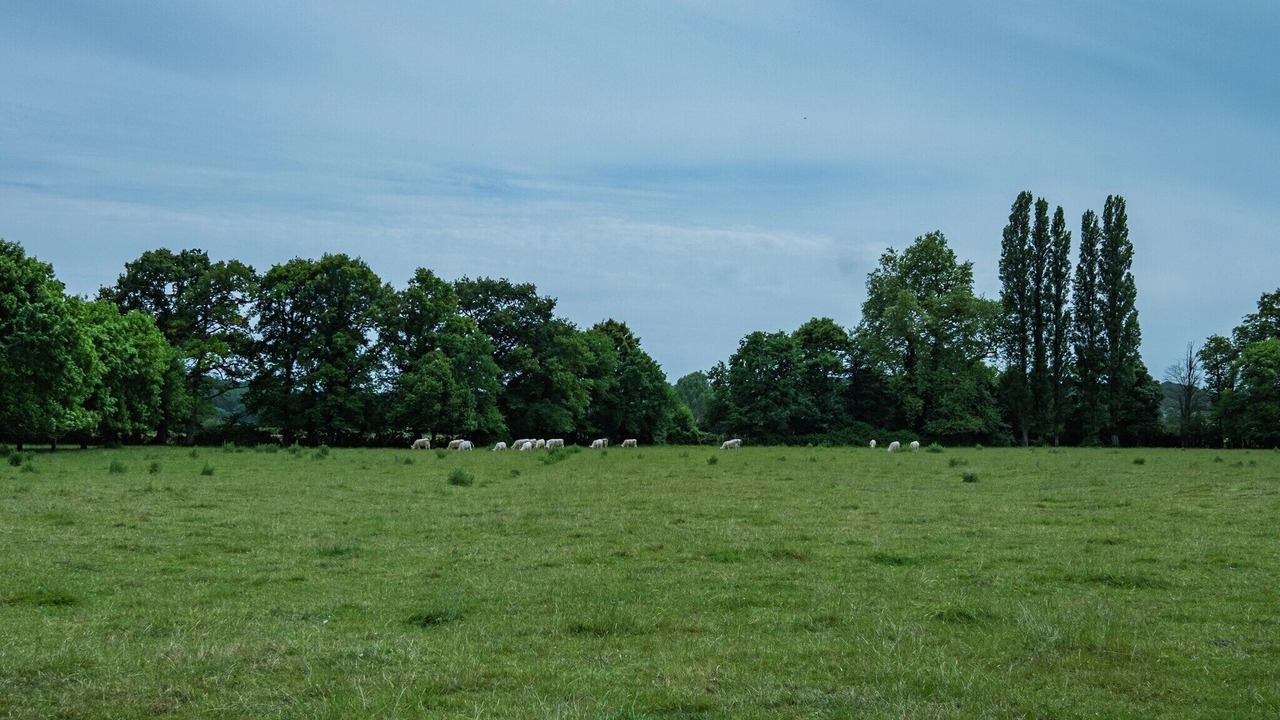 Photo of Others in Saint-Aignan