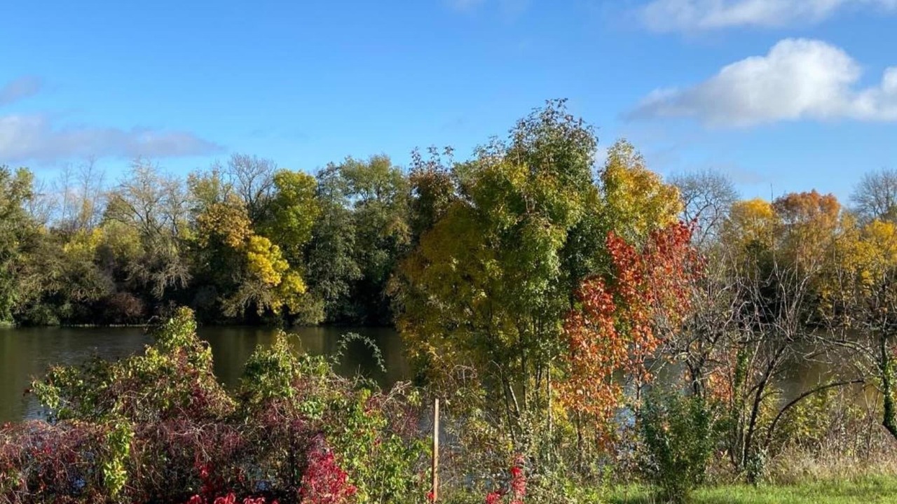 Photo of Others in Saint-Aignan