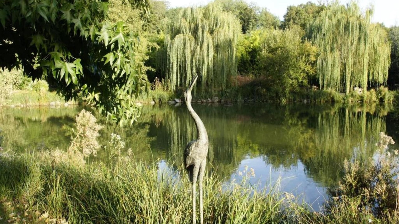 Photo of Others in Saint-Aignan