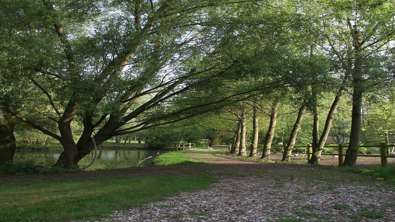 Photo of Outdoor in Monchaux