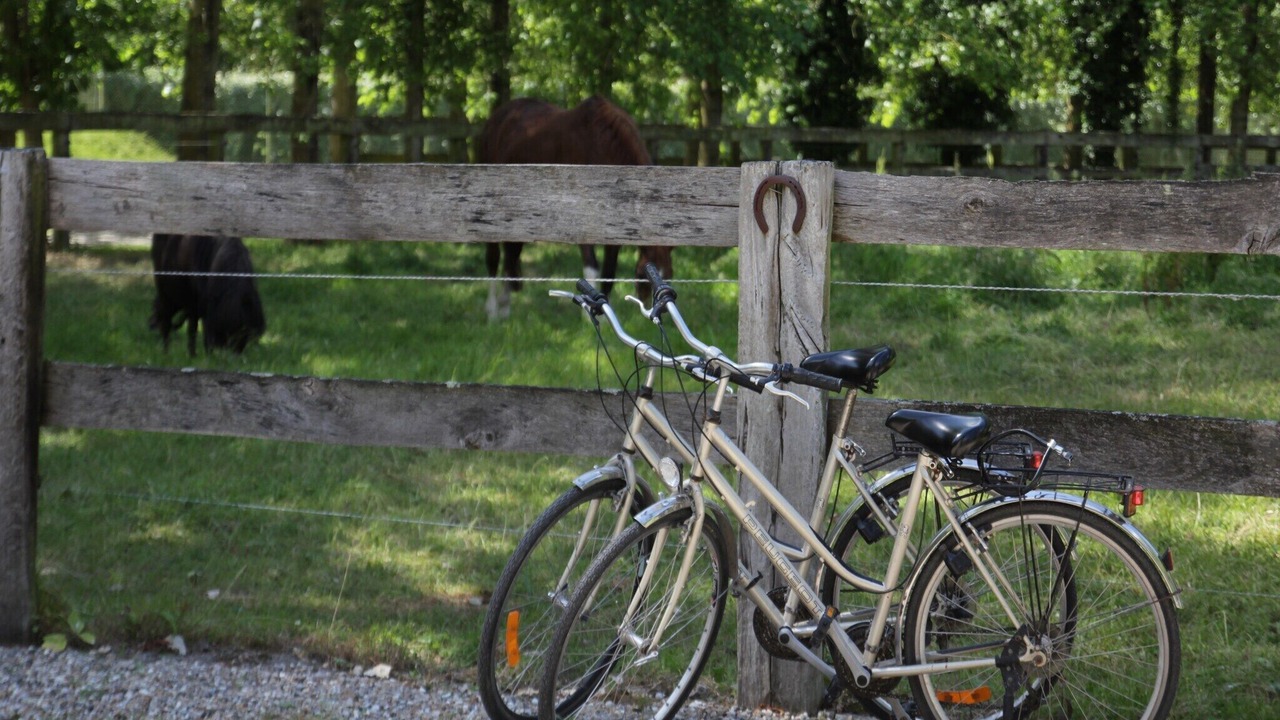 Photo of Others in Monchaux