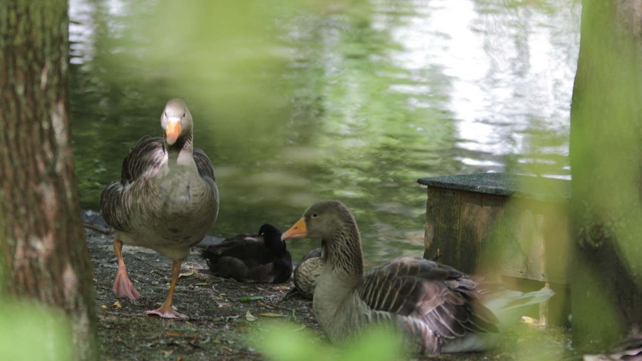 Photo of Others in Monchaux