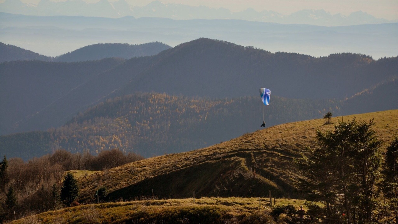 Photo of Others in Niderviller