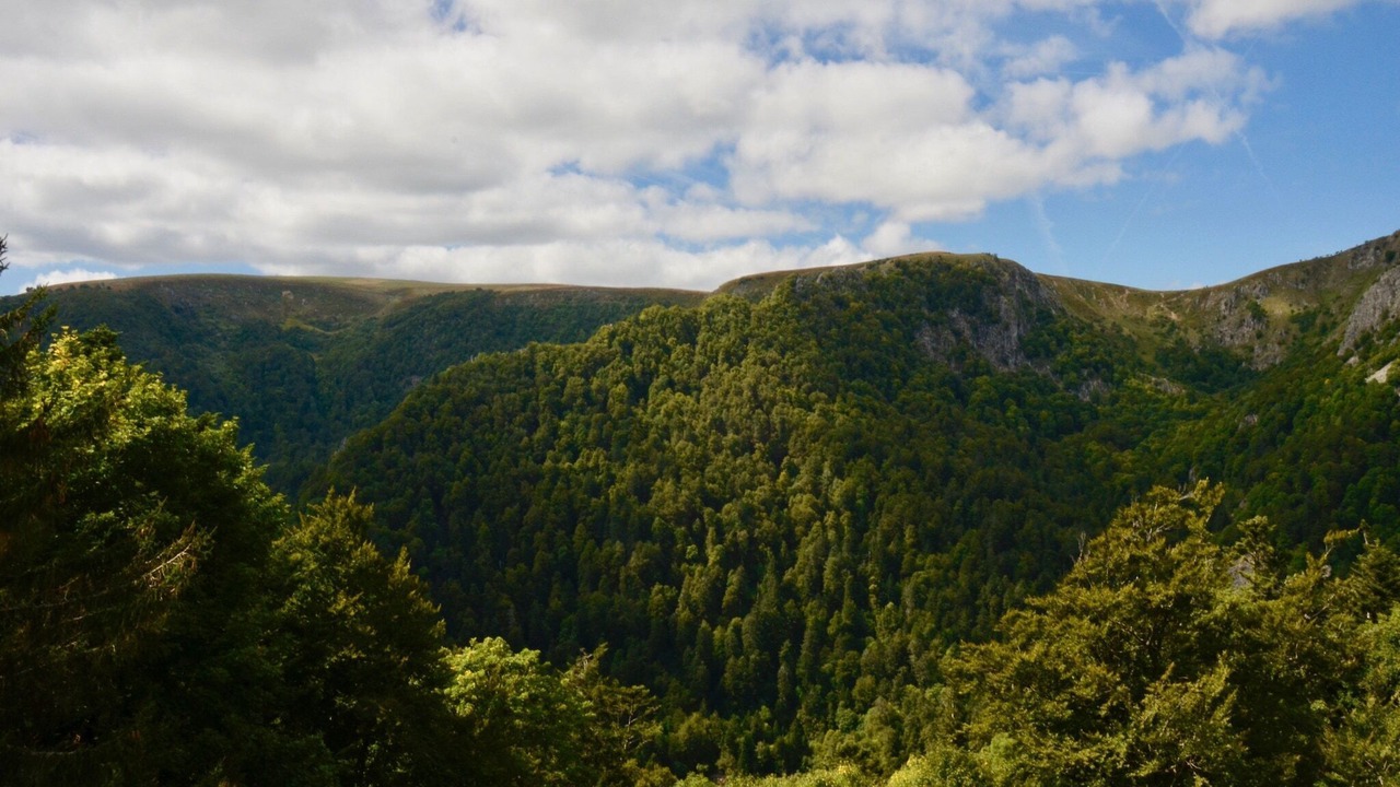 Photo of Others in Niderviller