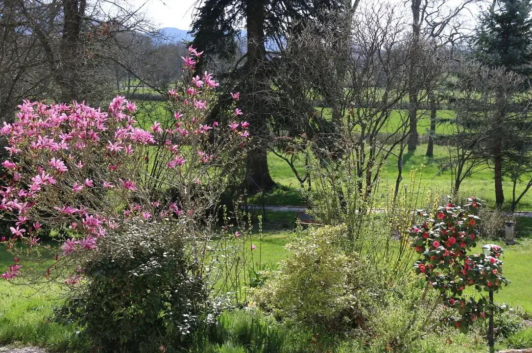 Photo of Outdoor in Saint-Forgeot