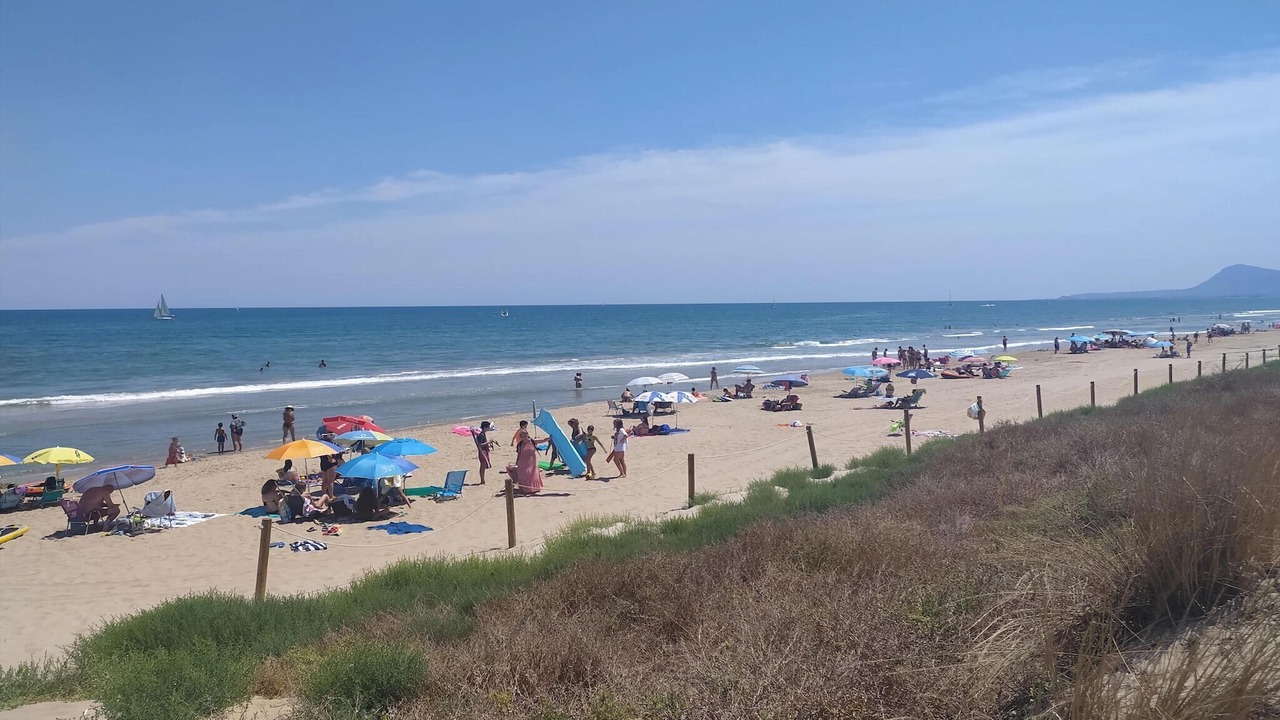 Photo of Others in Oliva
