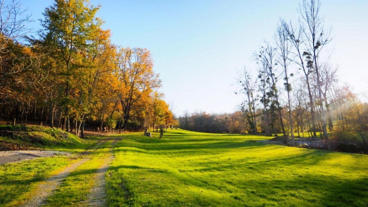 Photo of Others in Camiran
