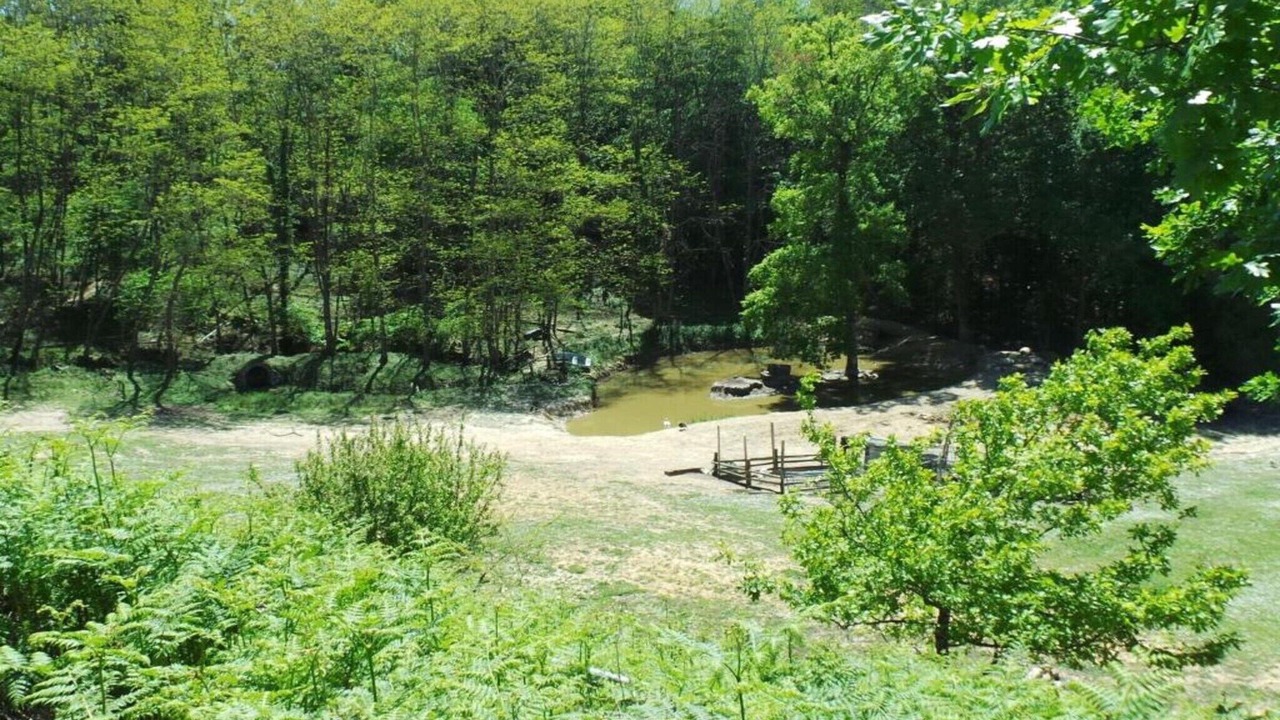 Photo of Others in Camiran