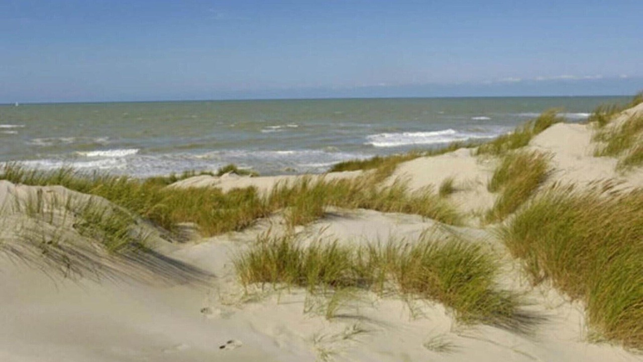 Photo of Others in Camiran