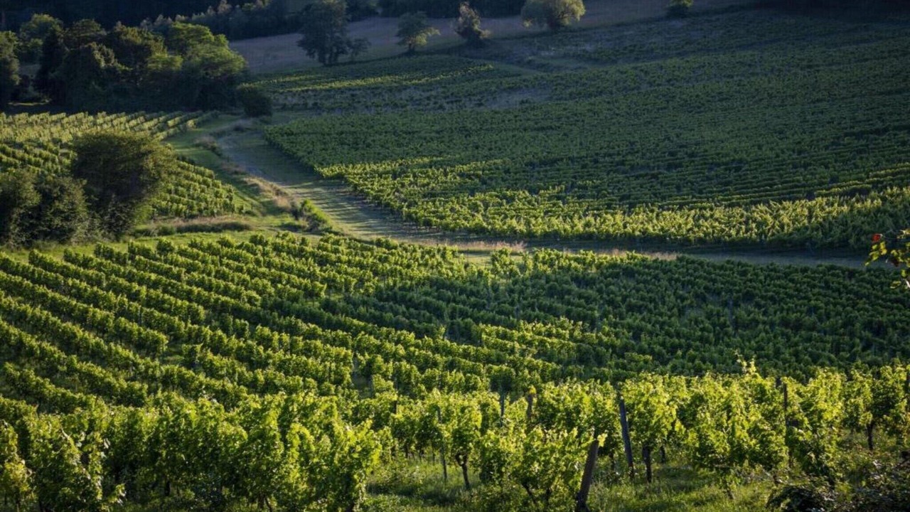 Photo of Others in Camiran