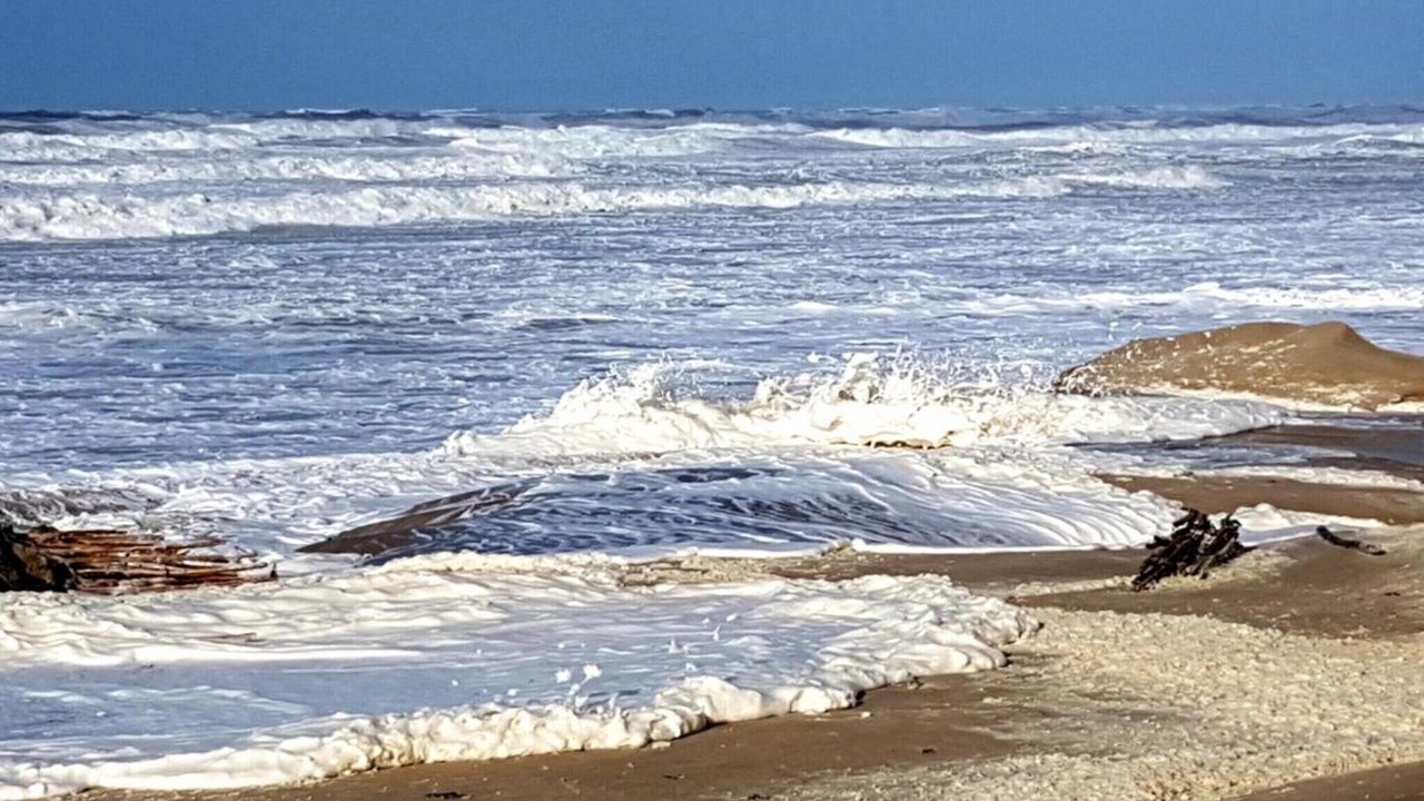 Photo of Others in Berck-sur-Mer