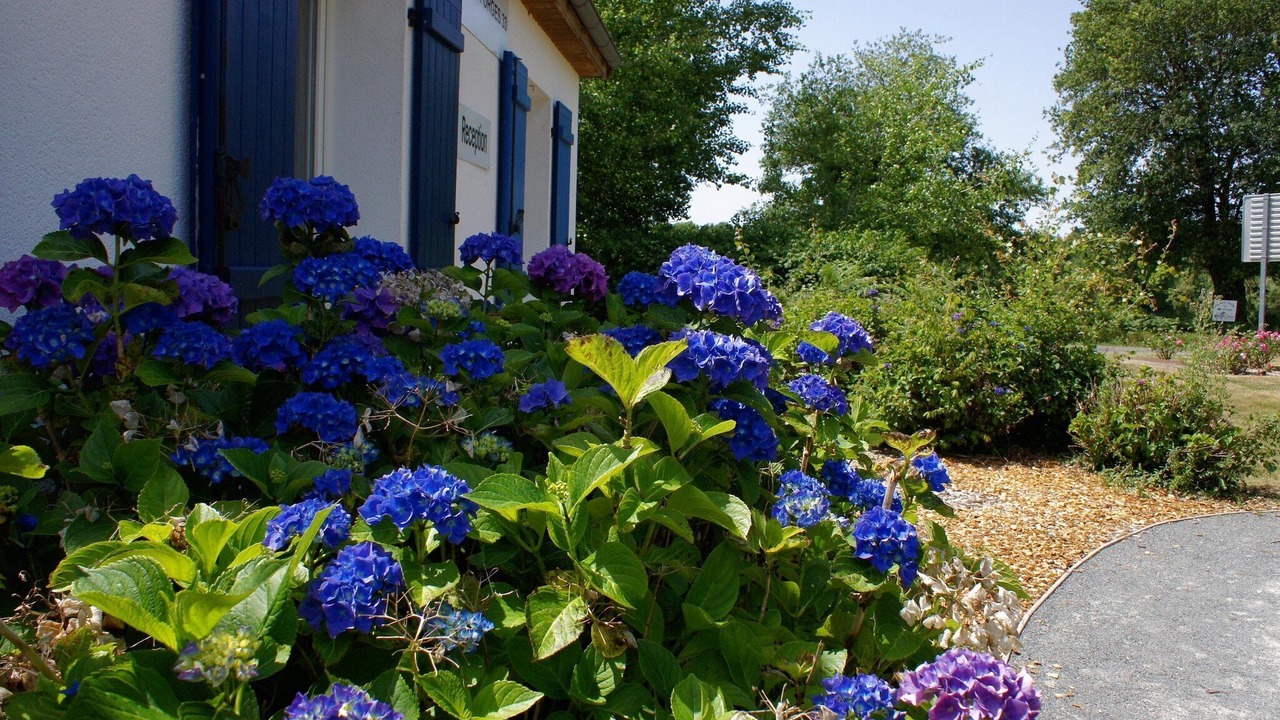 Photo of Outdoor in Les Forges