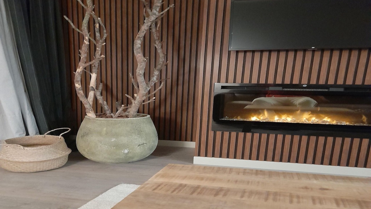 Photo of Livingroom in Benasque