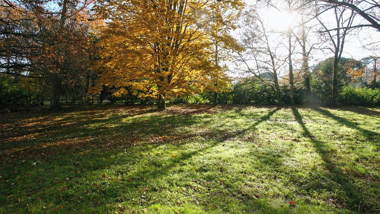 Photo of Others in Saint-Morillon