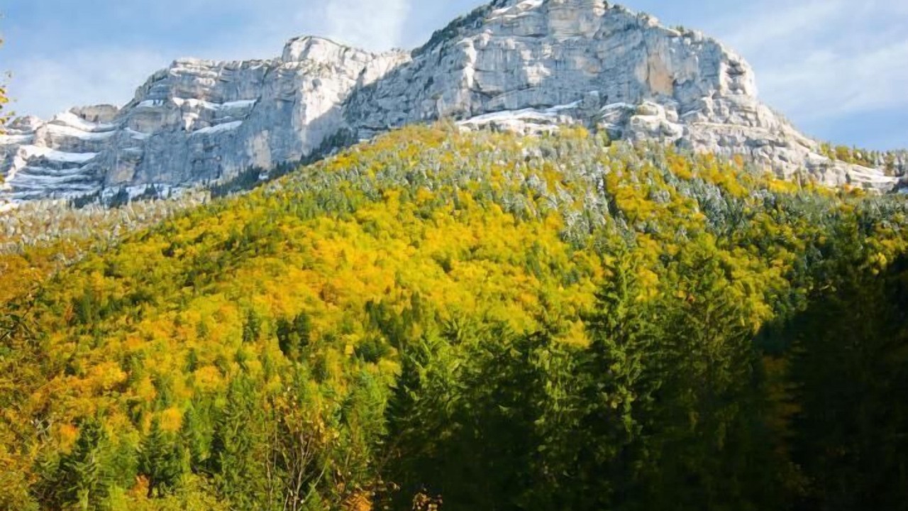 Photo of Others in Saint-Jean-de-Couz