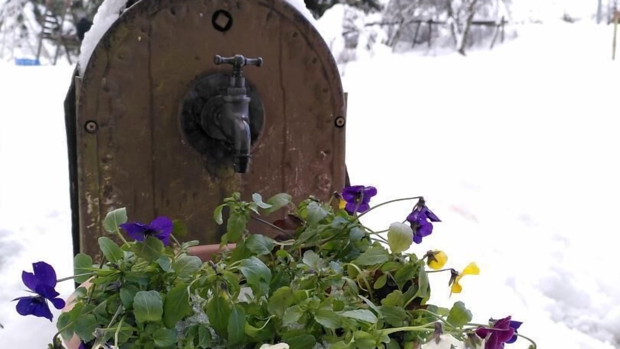 Photo of Outdoor in Saint-Jean-de-Couz