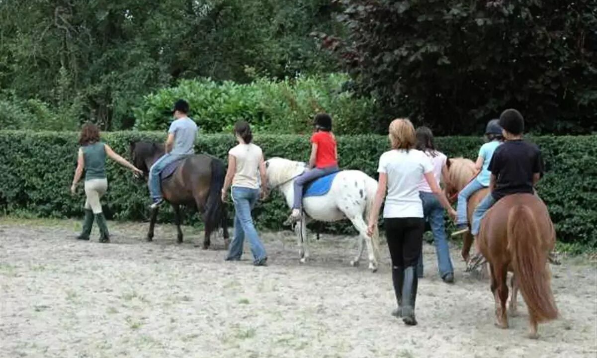 Photo of Others in Saint-Jean-de-Monts