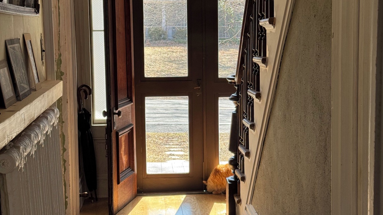 Photo of Others in Bangall