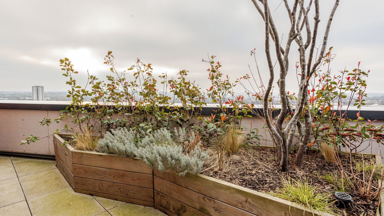 Photo of Others in Holbeck