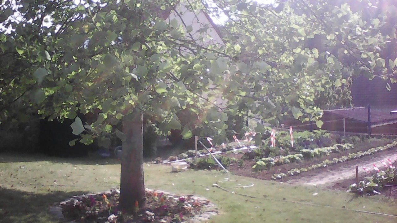 Photo of Outdoor in Saint-Martin-en-Campagne