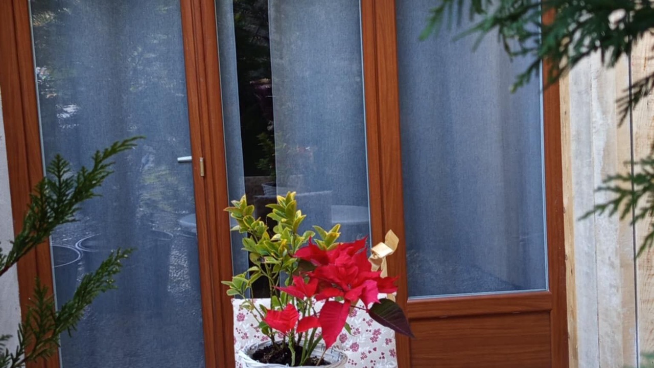 Photo of Outdoor in Chatillon-en-Michaille