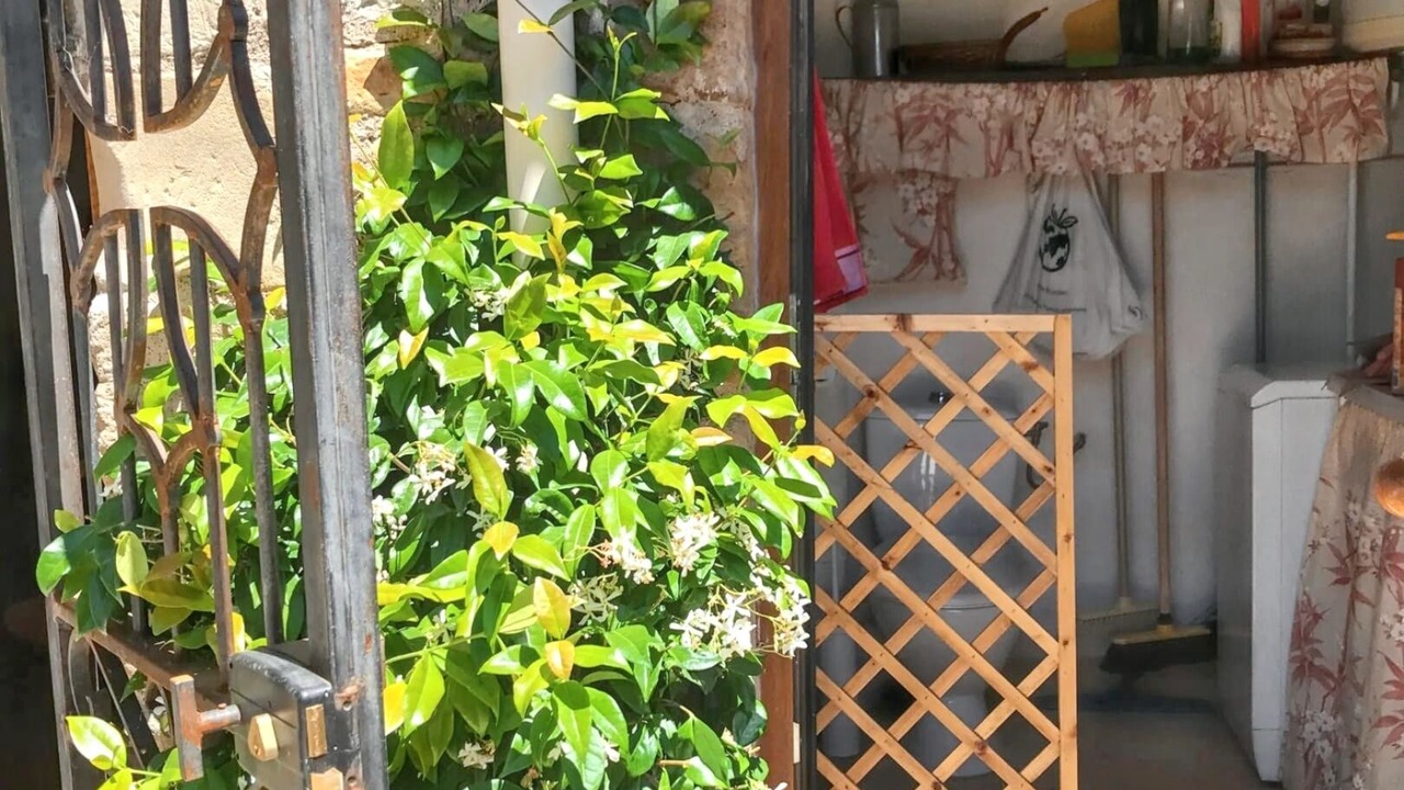 Photo of Others in Saint-Privat