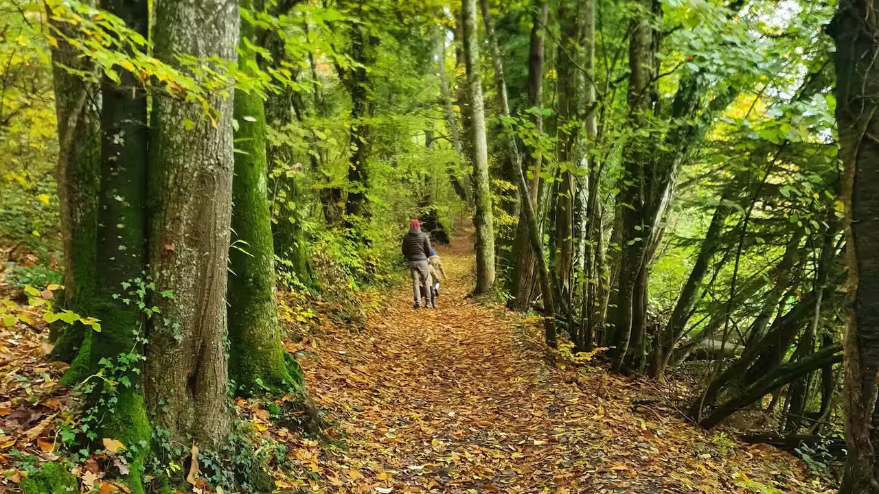 Photo of Others in Neuvecelle