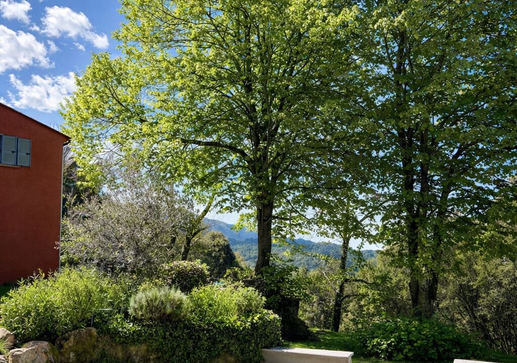 Photo of Outdoor in Tavera