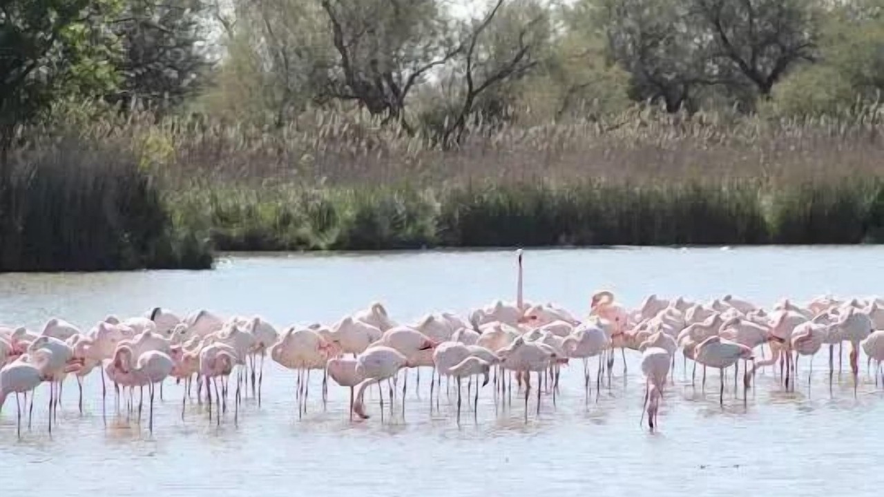 Photo of Others in Calvisson