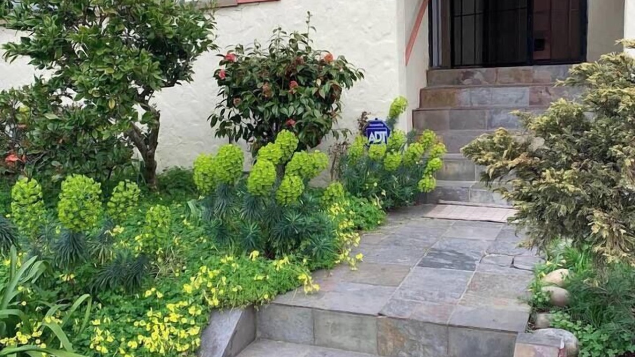 Photo of Outdoor in South Berkeley