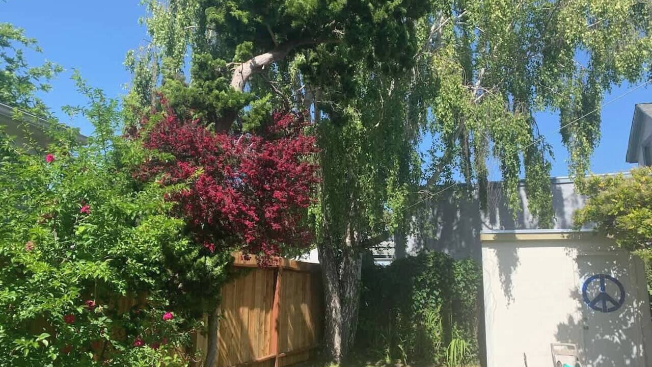 Photo of Others in South Berkeley