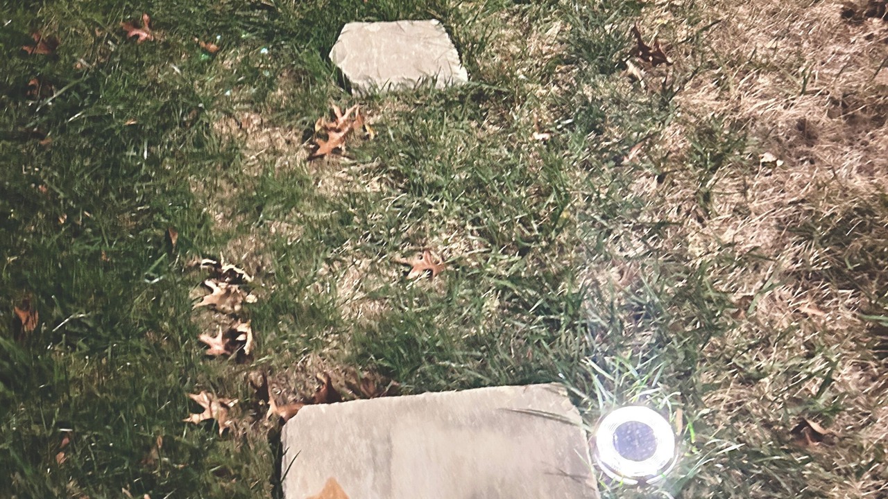 Photo of Outdoor in Springfield