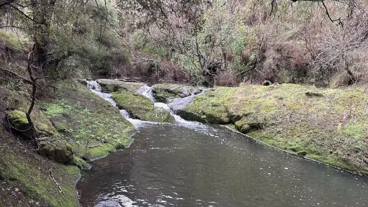 Photo of Others in Solway