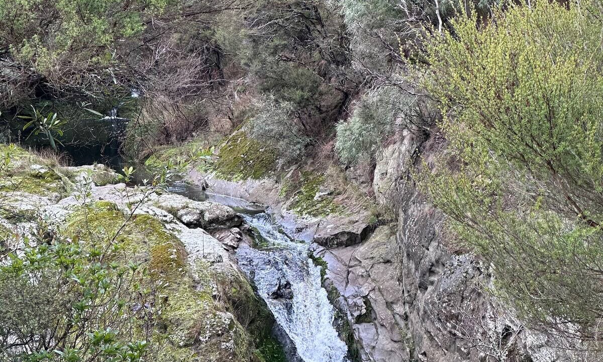 Photo of Others in Solway